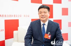 李冉代表：用好“两沉”“两新”经济实现良性