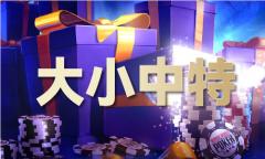 202材料和公开材料网坐