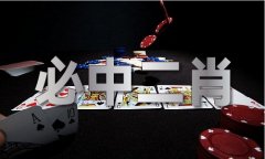 中国2021马材料网址V