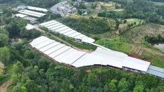 <b>农刊行四川平昌县支行：赓续支农情怀 逐梦“三</b>